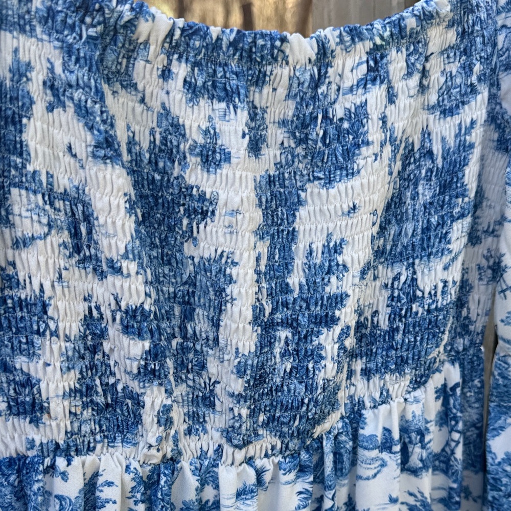Blue and White Floral Toile Maxi Dress - Picture 6 of 9